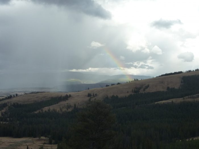 Même avec un temps pluvieux, Yellowstone nous gâte